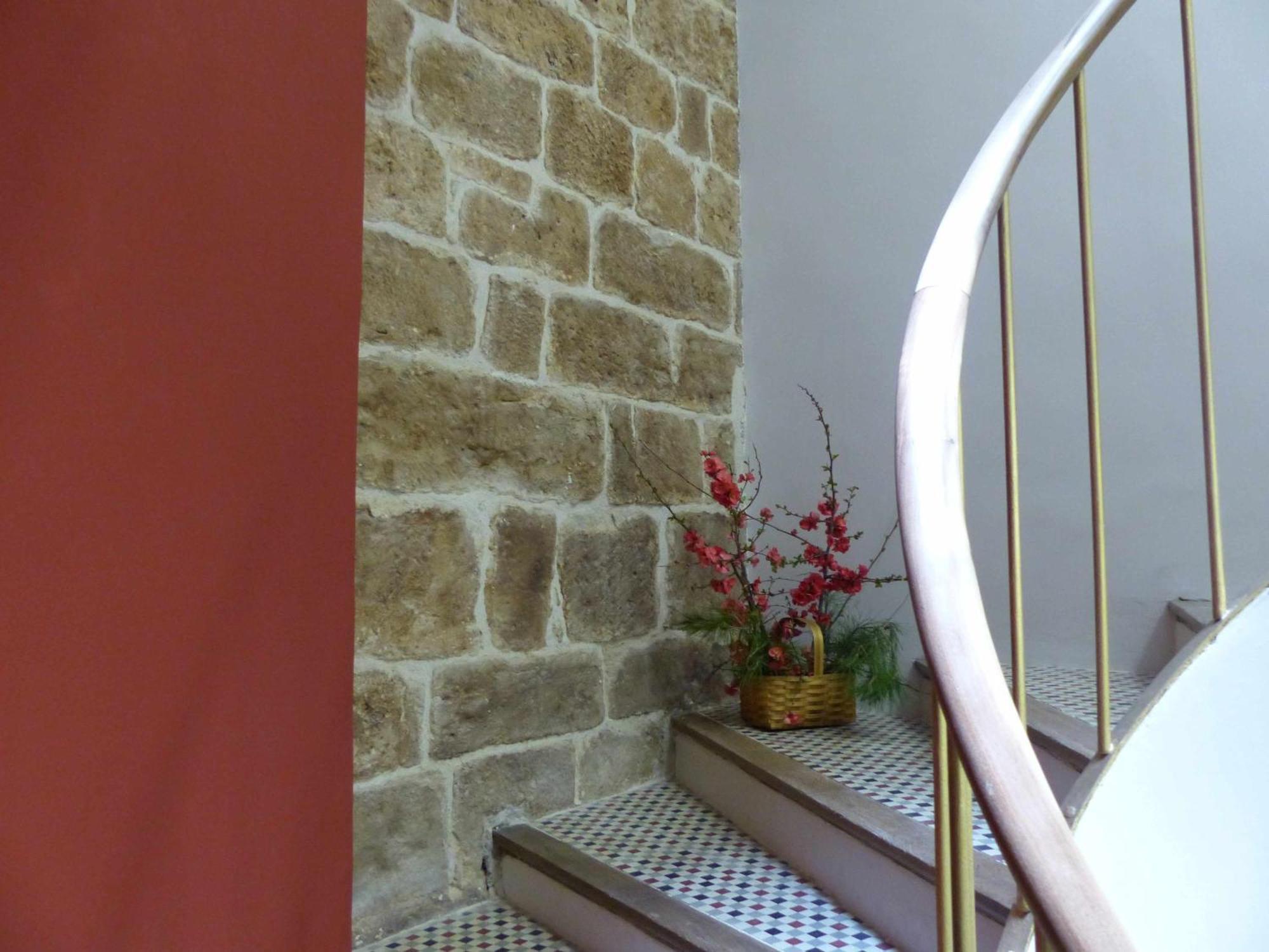 Apartamento Abside De San Juan II Estella Esterno foto