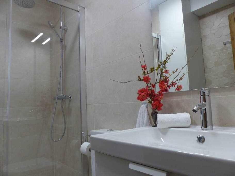 Apartamento Abside De San Juan II Estella Esterno foto